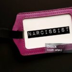 What are narcissists like in an argument